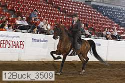 12buck_3509 proof