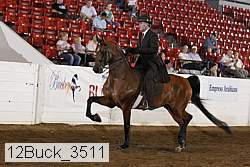 12buck_3511 proof