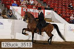 12buck_3513 proof