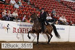 12buck_3515 proof