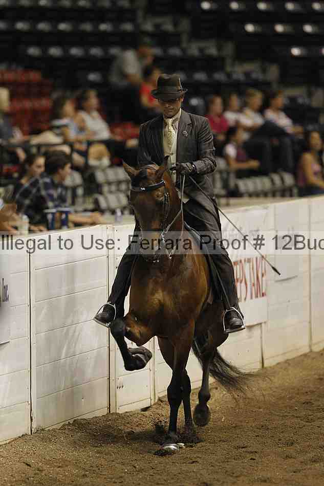 Proof 12buck_3518