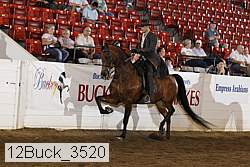 12buck_3520 proof
