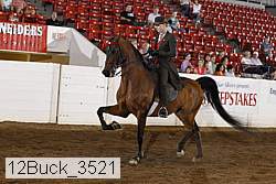 12buck_3521 proof