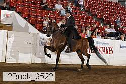 12buck_3522 proof