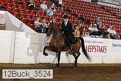 12buck_3524 proof