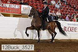 12buck_3527 proof