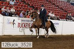 12buck_3528 proof