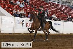 12buck_3530 proof