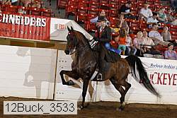 12buck_3533 proof