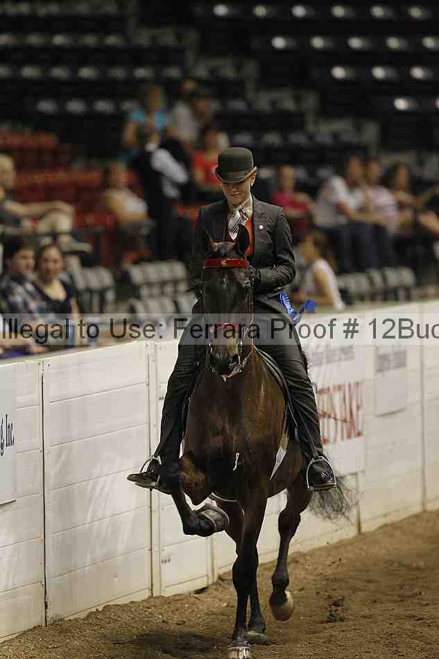 Proof 12buck_3536