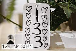 12buck_3534 proof