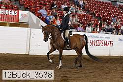 12buck_3538 proof