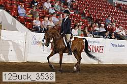 12buck_3539 proof