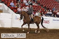 12buck_3540 proof
