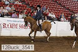 12buck_3541 proof