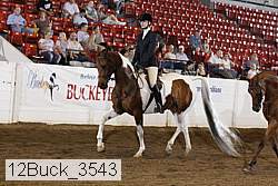 12buck_3543 proof