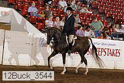12buck_3544 proof