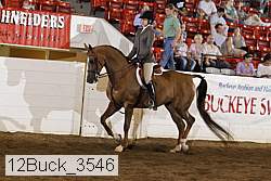 12buck_3546 proof