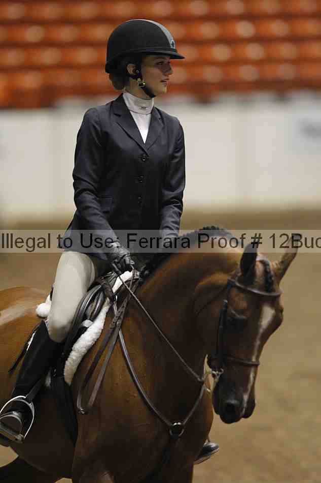 Proof 12buck_3551