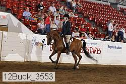 12buck_3553 proof