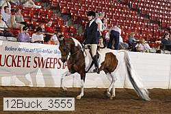 12buck_3555 proof