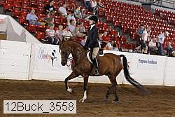 12buck_3558 proof