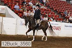 12buck_3560 proof
