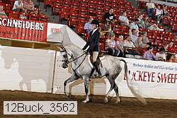 12buck_3562 proof
