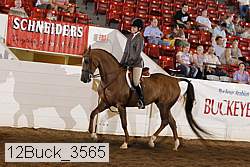 12buck_3565 proof