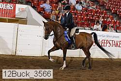 12buck_3566 proof
