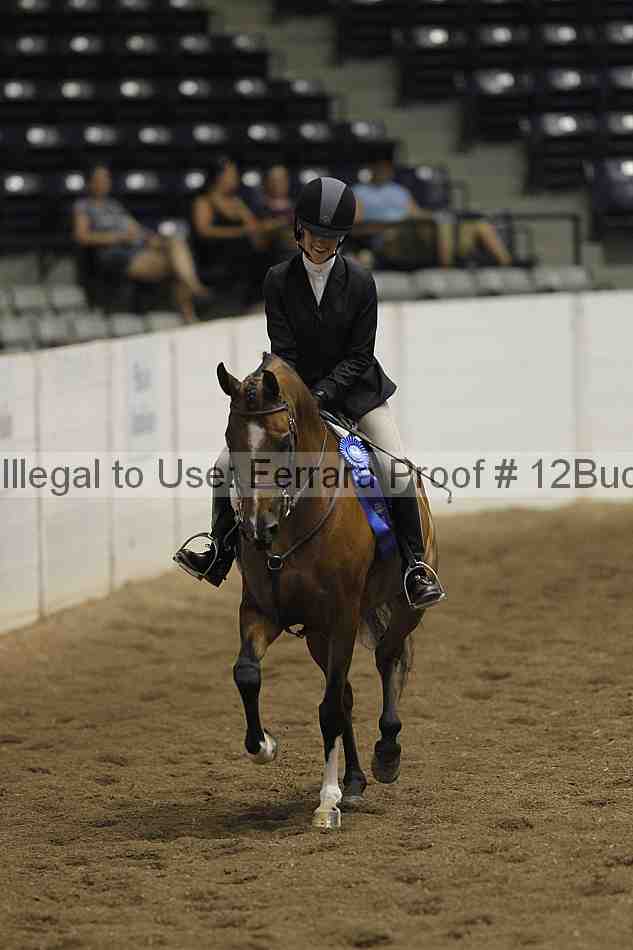 Proof 12buck_3570