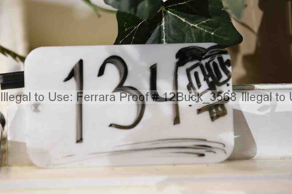 Proof 12buck_3568