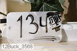 12buck_3568 proof