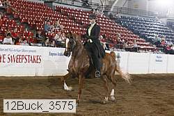 12buck_3575 proof