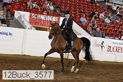 12buck_3577 proof