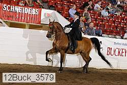 12buck_3579 proof