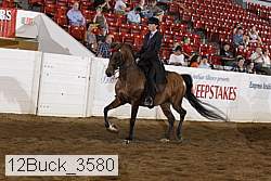 12buck_3580 proof