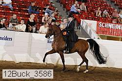 12buck_3586 proof