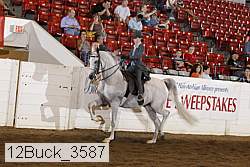 12buck_3587 proof