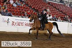 12buck_3589 proof