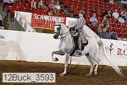 12buck_3593 proof