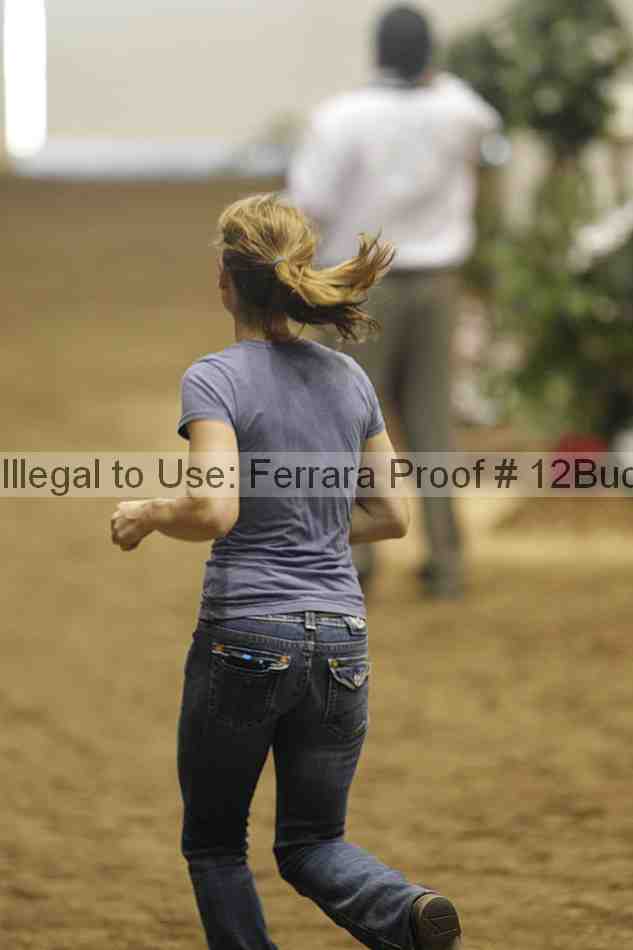 Proof 12buck_3596