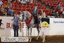 12buck_3597 proof