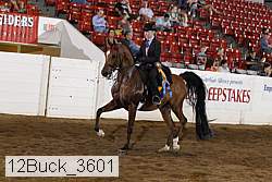 12buck_3601 proof
