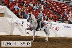 12buck_3603 proof