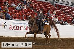 12buck_3606 proof