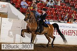 12buck_3607 proof