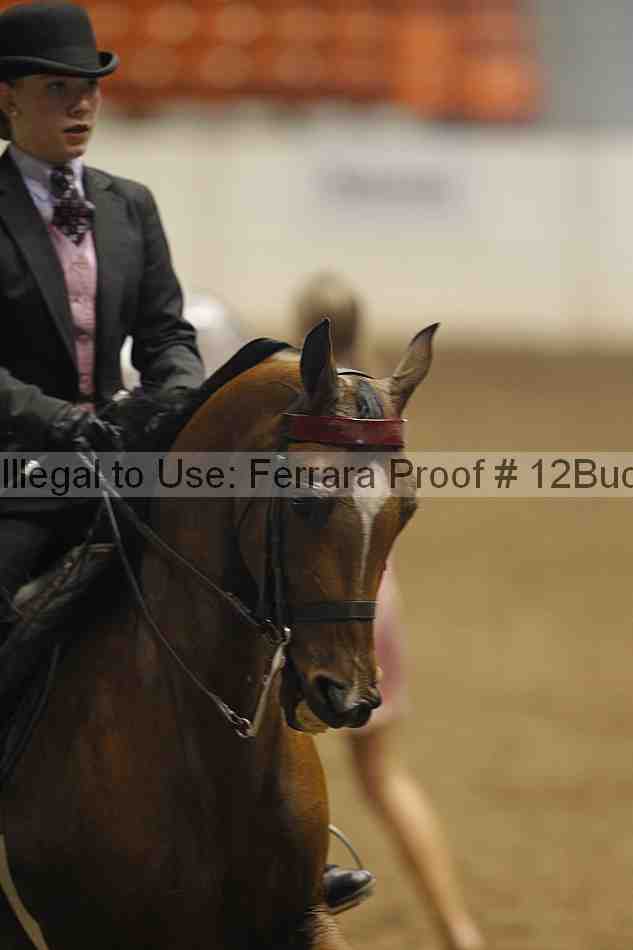 Proof 12buck_3612
