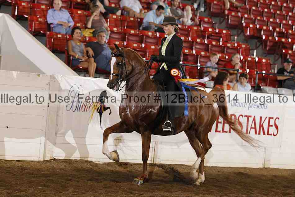 Proof 12buck_3614