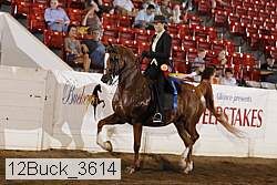 12buck_3614 proof
